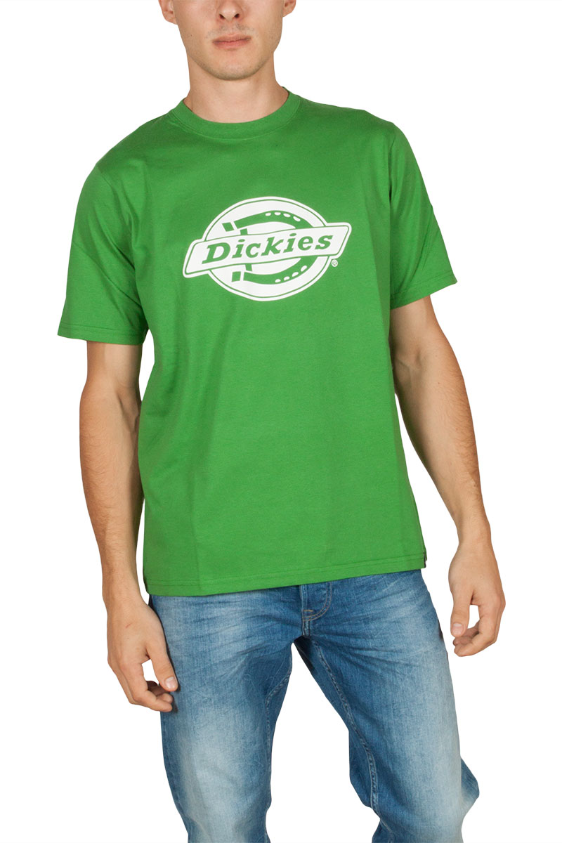 Dickies Horsehoe one colour T-shirt mint green