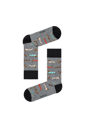 Besocks® BePets organic cotton socks grey