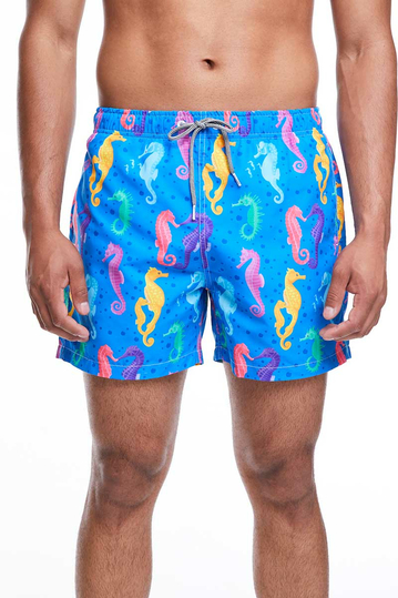 Boardies men's swim shorts Seahorses