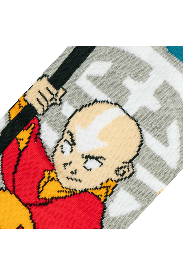 Odd Sox AANG The Last Airbender socks