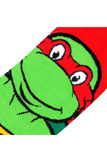 Odd Sox Raphael socks