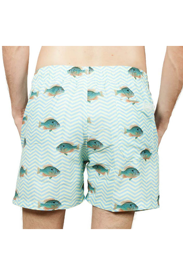 OAS Blue fish ανδρικό μαγιό