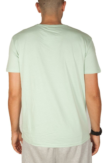 Sublevel T-shirt Leaves Light Green