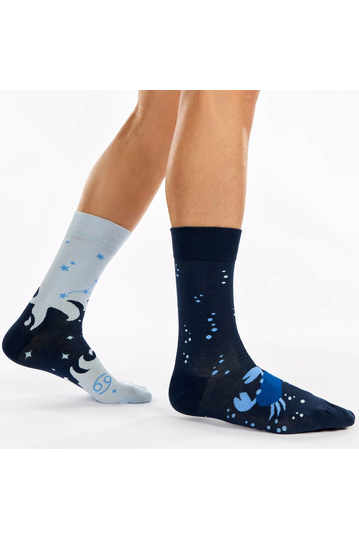 Dedoles Socks Regular Zodiac Cancer