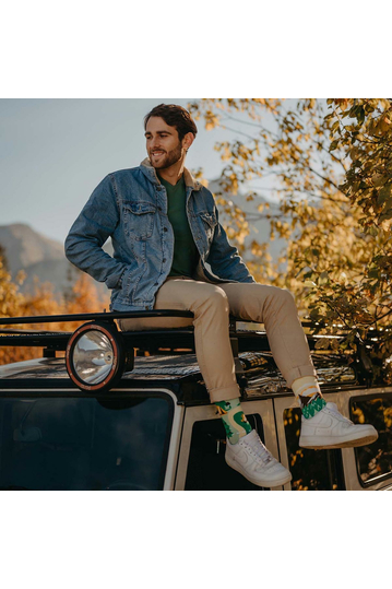 Dedoles Socks Regular Mountain Camp