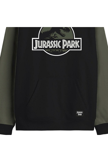 Cotton Division Hoodie Color Block Jurassic Park Logo