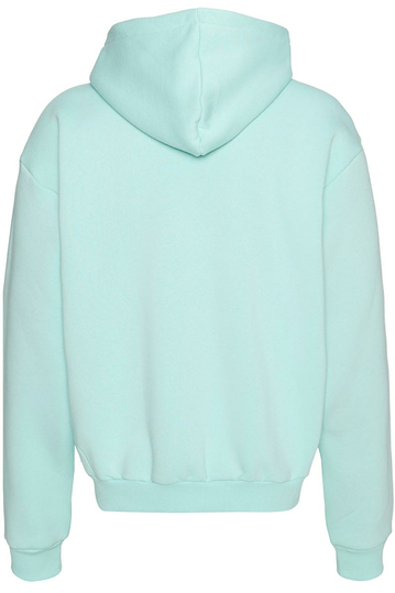 Karl Kani Small Signature Zip Hoodie Light Blue