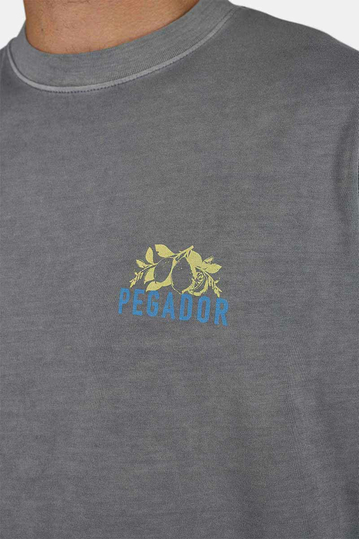 Pegador Vanos Oversized T-Shirt Vintage Grey