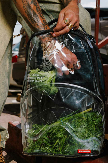 Sprayground Clear Backpack Shark Central