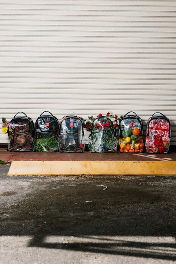 Sprayground Clear Backpack Shark Central