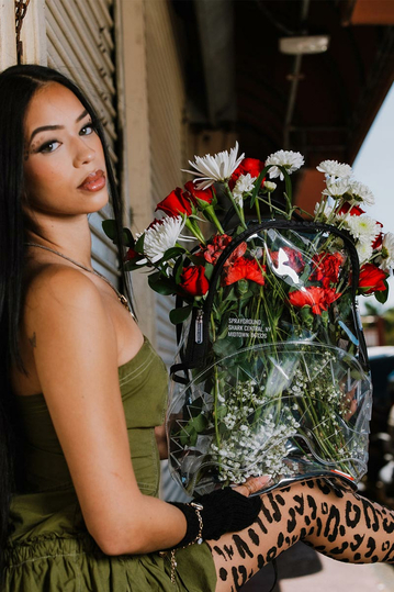 Sprayground Clear Backpack Shark Central