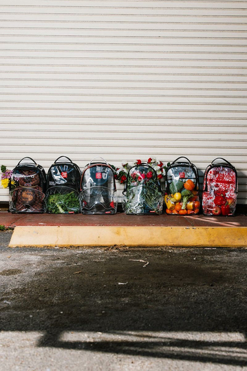 Sprayground Clear Backpack Shark Central
