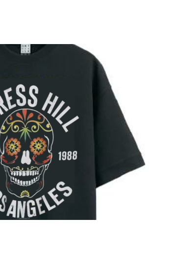 Amplified Oversized T-shirt Cypress Hill Floral Skull Black