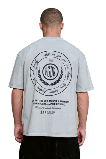 Pegador Sydon Oversized T-Shirt Vintage Light Grey