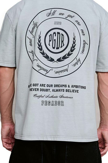 Pegador Sydon Oversized T-Shirt Vintage Light Grey
