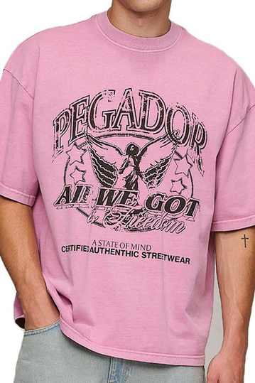 Pegador Cason Boxy T-Shirt Vintage Rust Pink