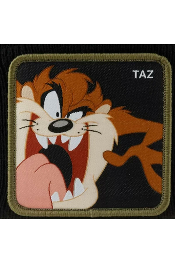 Capslab Looney Tunes Taz Beanie