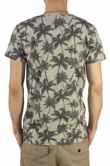 Anerkjendt ανδρικό t-shirt Tolga μπεζ