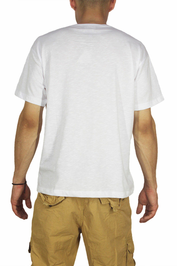 Dog's Dinner ανδρικό T-shirt Plane λευκό