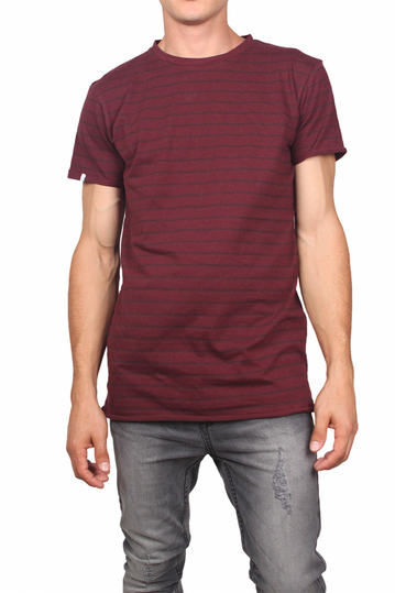 Anerkjendt Aconik men's striped t-shirt fig