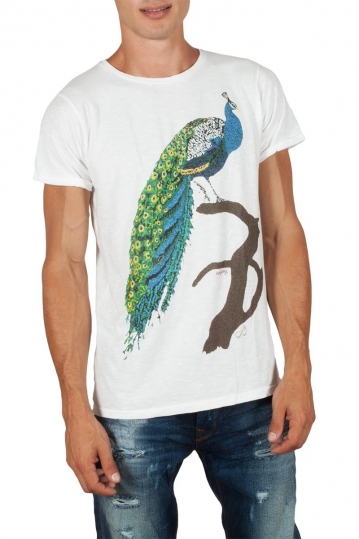 Anjavy t-shirt Peacock
