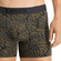 Levi's® Monstera leaf aop boxer brief 2-pack black