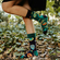 Dedoles Socks Regular Skulls & Flowers
