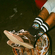 American Socks Stop All Bombs Mid High Socks