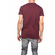 Anerkjendt Aconik men's striped t-shirt fig