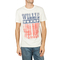 Amplified Willie Nelson Flag t-shirt