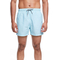 Boardies men's swim shorts Deck Stripe