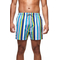 Boardies men's swim shorts Crush Stripe