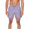 Boardies men's swim shorts Treble Deck Stripe