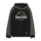 Cotton Division Hoodie Color Block Jurassic Park Logo